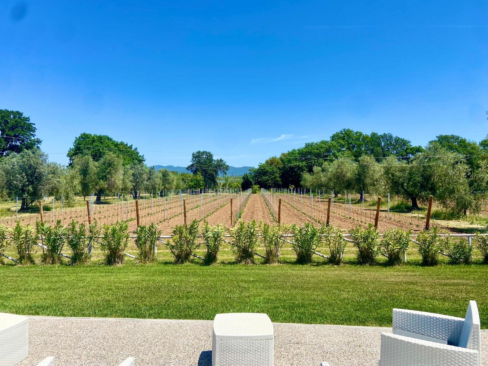 Agriturismo Re Di Fiori Donoratico Exterior photo