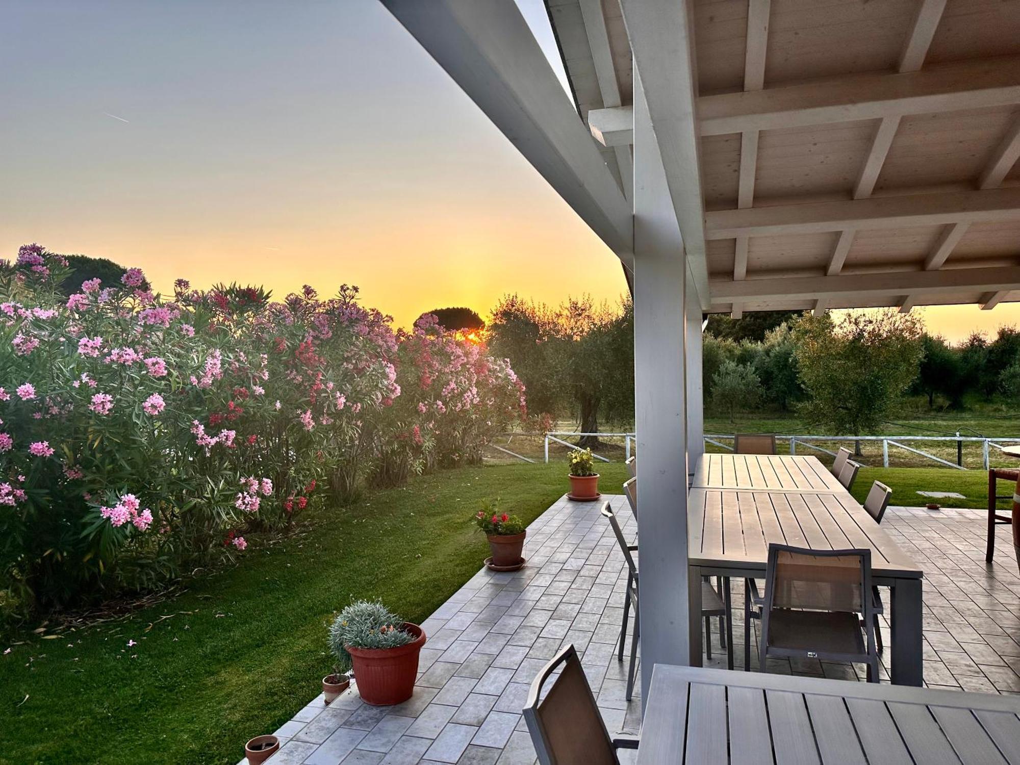 Agriturismo Re Di Fiori Donoratico Exterior photo