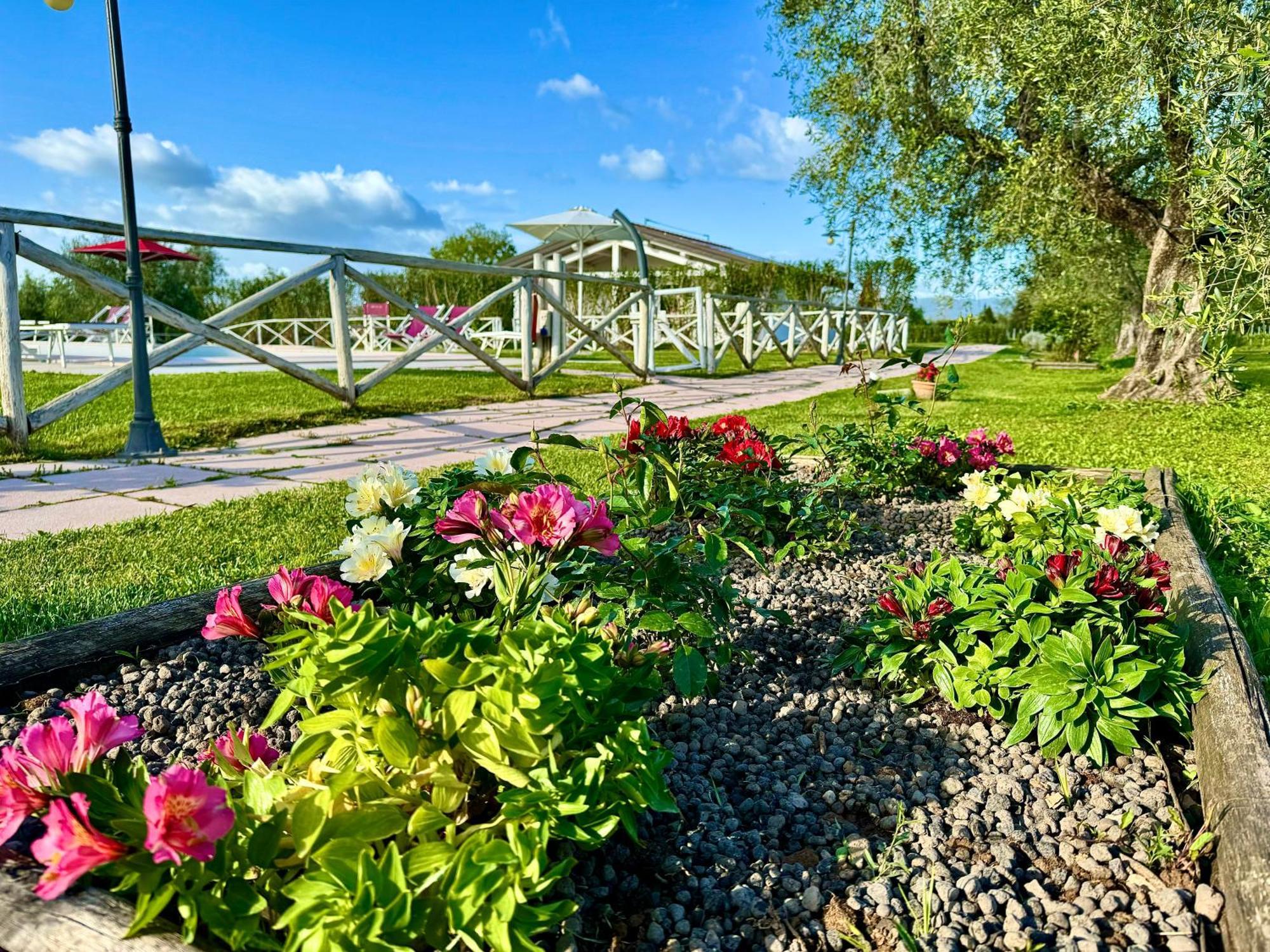 Agriturismo Re Di Fiori Donoratico Exterior photo